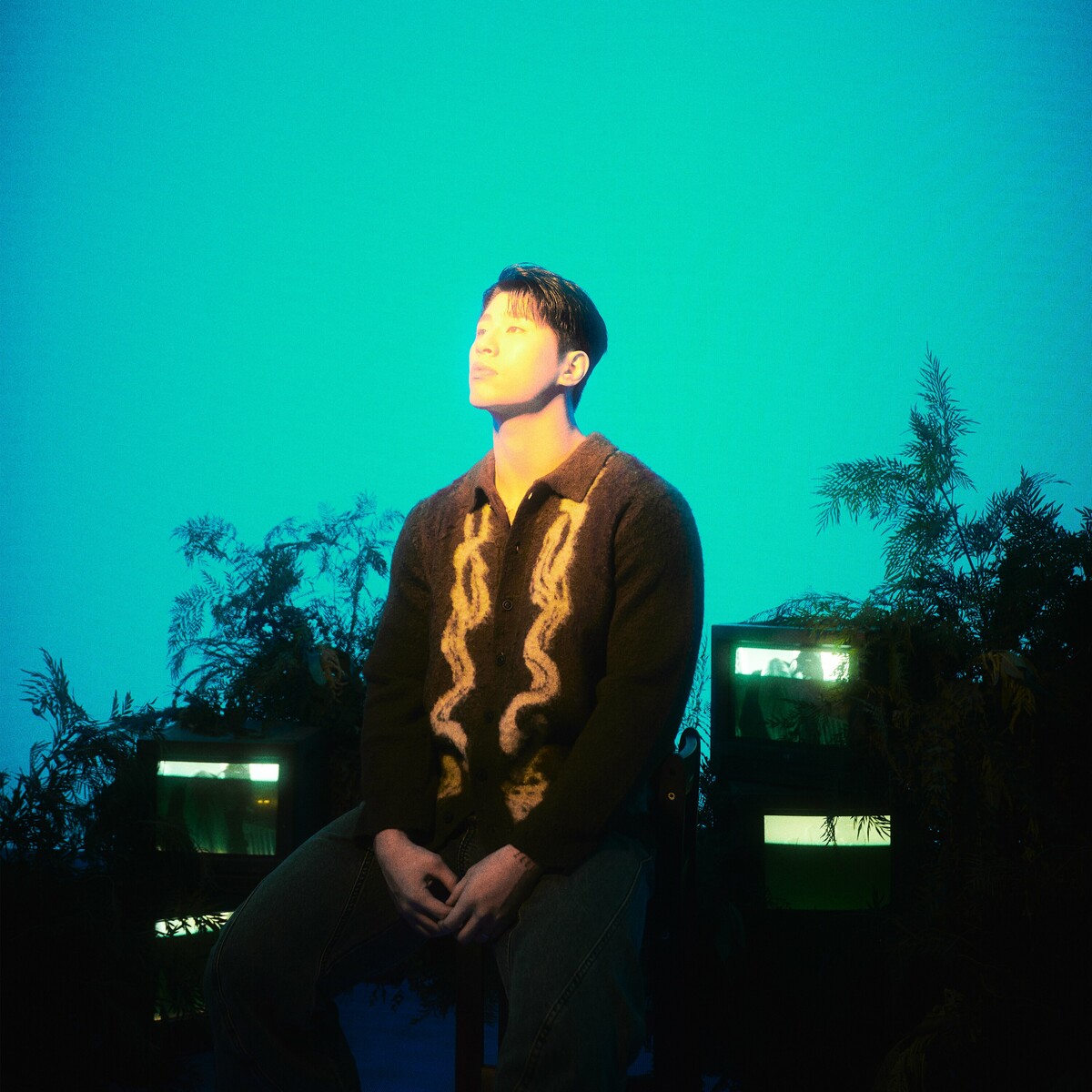 Image Cover